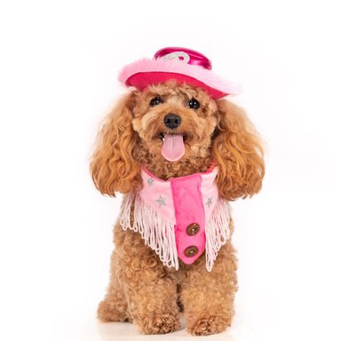 DISFRAZ TERCIOPELO PERRO Y GATO LETIF PET SHOP BARBIE VAQUERA TALLA XL