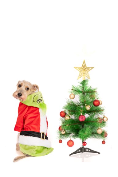 TRAJE TERCIOPELO PERRO Y GATO LETIF PET SHOP GRINCH TALLA 2 - 3