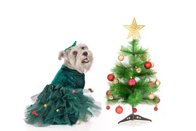 VESTIDO PLUSH PERRO Y GATO LETIF PET SHOP XMAS TREE TALLA 2