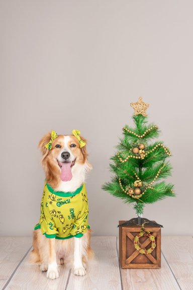 POLERA ALGODÓN PERRO Y GATO GRINCH TALLA 6 LETIF PET SHOP - 2