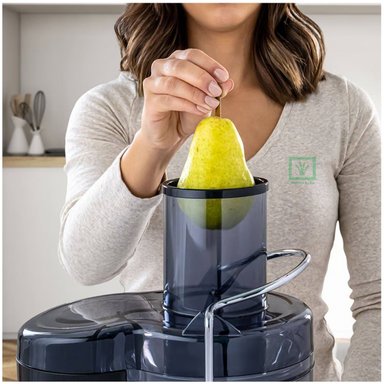 EXTRACTOR DE JUGOS 600W ACERO FPSTJE320S - 3