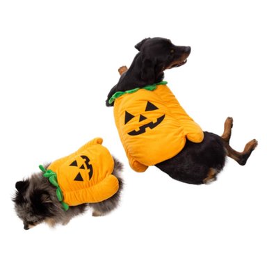 DISFRAZ PERRO PET-PUMPKIN SUPETMARKET CALABAZA HALLOWEEN
