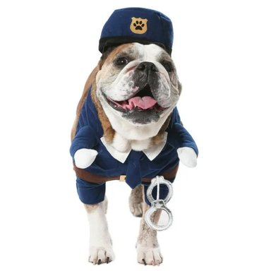 DISFRAZ ALGODÓN PERRO POLICIA SUPETMARKET - 4