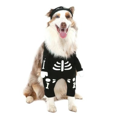 DISFRAZ ALGODÓN PERRO SKELETON-MASCOTA SUPETMARKET SKELETON - 2