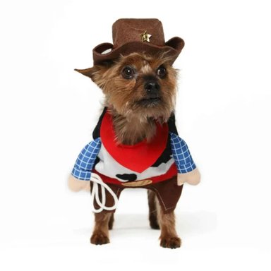 DISFRAZ ALGODÓN PERRO COWBOY SUPETMARKET