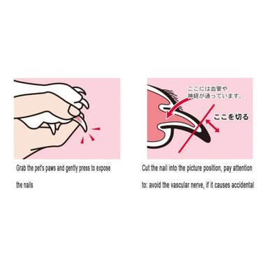 PACK CORTA UÑAS O GARRA GATO SUPETMARKET CORUNAGAT01 X2 BLANCO TAMAÑO 1 - 4