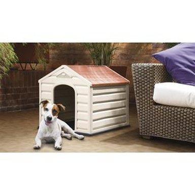 CASA PERROS RIMAX MULTICOLOR - 2