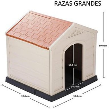 CASA PERROS RIMAX MULTICOLOR - 3