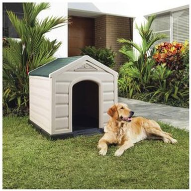 CASA PERROS RIMAX MULTICOLOR - 6