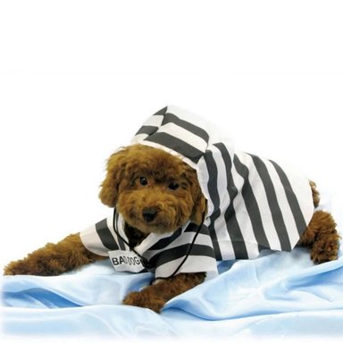 DISFRAZ MASCOTA AH690 PRISIONERO TALLA ÚNICA SUPETMARKET