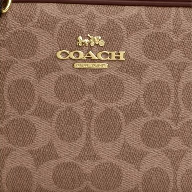 CARTERA CROSSBODY COACH MINI JAMIE MARRON - 5