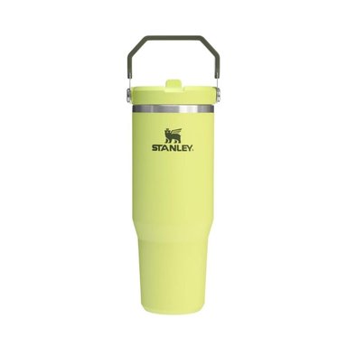 TUMBLER VASO DE ACERO INOXIDABLE STANLEY ICEFLOW FLIP STRAW 30OZ -PRICKLY PEAR