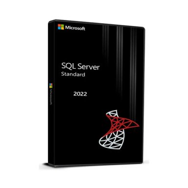 MICROSOFT SOFTWARE SQL SERVER STANDARD 2019 SISTEMA OPERATIVO - 1