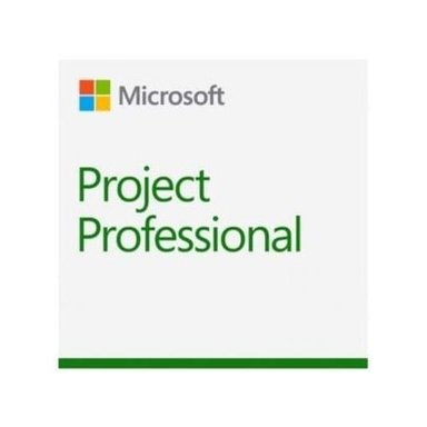 MICROSOFT SOFTWARE PROJECT PROFESIONAL 2019 PRODUCTIVIDAD - 1