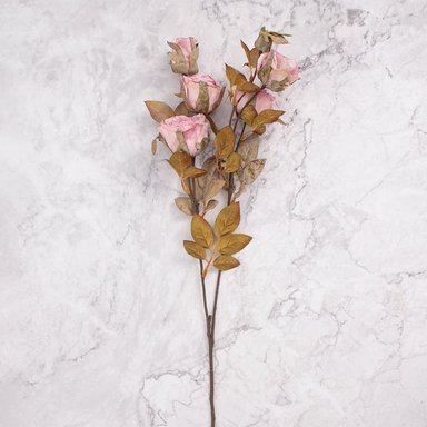 Rosa En Vara Rosa Panorama Hogar En Pack De 4