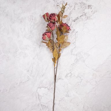 Rosa En Vara Rojo Panorama Hogar En Pack De 4