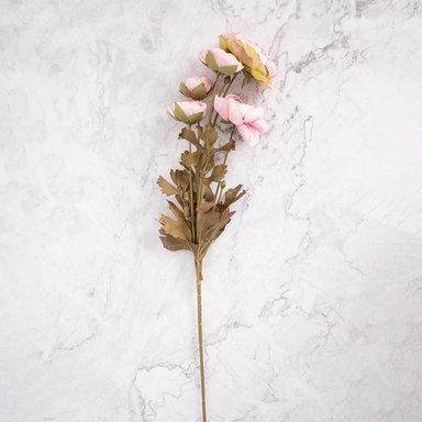 Peonías Rosa Panorama Hogar Pack De 4