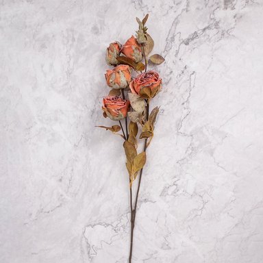 Rosa En Vara Naranja Panorama Hogar En Pack De 4