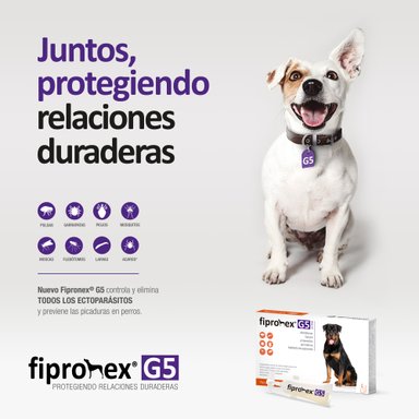 ANTIPULGAS PARA PERROS FIPRONEX G5 DROP ON CJA 5 PIP X 9 ML (+ 40 KG) - 3