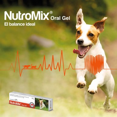 VITAMINA SUPLEMENTO PERROS Y GATOS NUTROMIX 60 G - 2