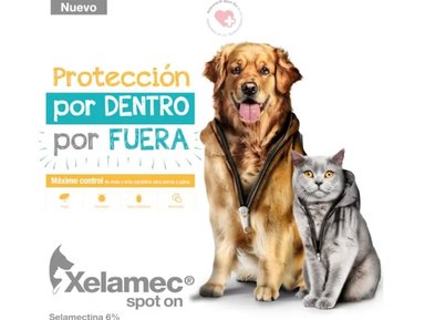 ANTIPULGAS PARA PERROS Y GATOS XELAMEC SPOT ON CJA 5 PIP X 2 ML - 3