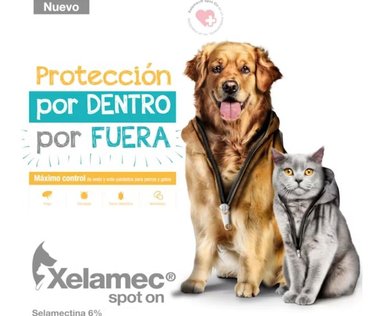 ANTIPULGAS PARA PERROS Y GATOS XELAMEC SPOT ON CJA 5 PIP X 4 ML - 3