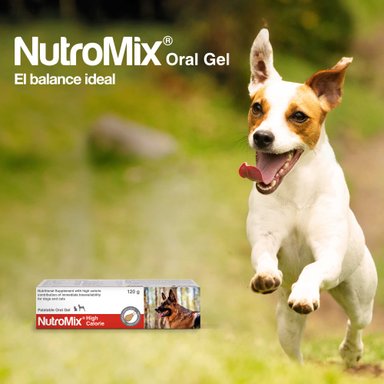 VITAMINA SUPLEMENTO PERROS Y GATOS NUTROMIX 120 G HIGH CALORIE - 4