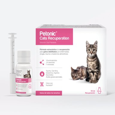 SUPLEMENTO GATOS AGROVETMARKET CAJA 55ML VITAMINA PETONIC CATS RECUPERATION