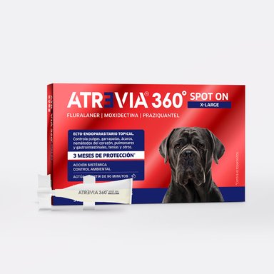 ANTIPULGAS PARA PERROS ATREVIA 360 SPOT ON X- LARGE 37 A 55 KG X 5 PIPETAS