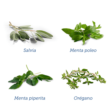 INFUSIÓN MUJER - CAJA X 15 UND - 2