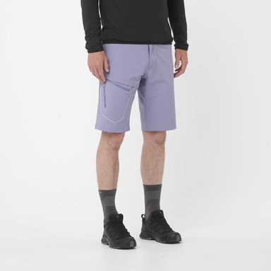 SHORTS WAYFARER HOMBRE - SALOMON