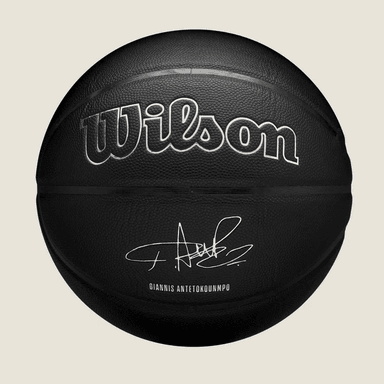 BALÓN DE BALONCESTO NBA PLAYER NIGHTMODE BSKT 7 - GIANNIS - 2