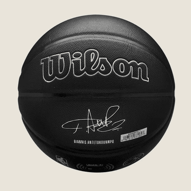 BALÓN DE BALONCESTO NBA PLAYER NIGHTMODE BSKT 7 - GIANNIS - 3