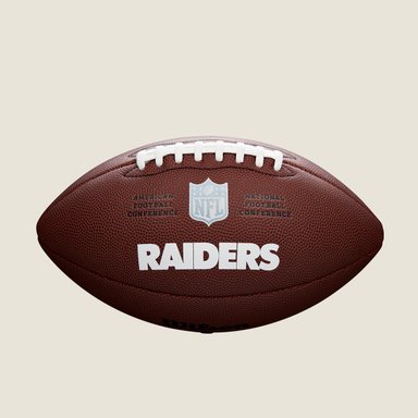 BALÓN DE FÚTBOL AMERICANO NFL BACKYARD LEGEND PHILADELPHIA EAGLES - 1