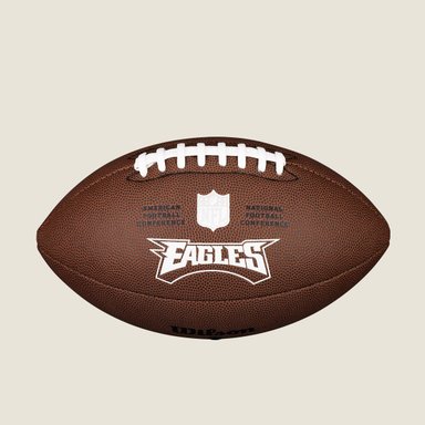 BALÓN DE FÚTBOL AMERICANO NFL BACKYARD LEGEND PITTSBURGH STEELERS - 1