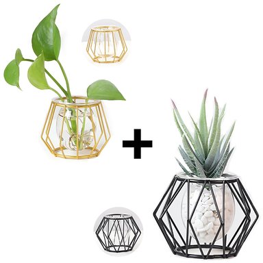 MACETERO NÓRDICO PARA DECORACIÓN DEL HOGAR MINIMALISTA DORADO + MACETERO NÓRDICO PARA DECORACIÓN DEL HOGAR MINIMALISTA NEGRO