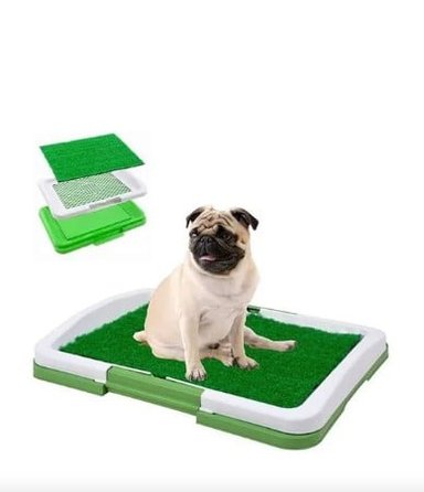 BAÑO ECOLOGICO MASCOTAS