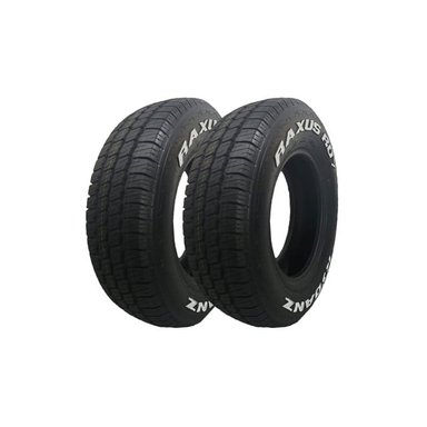 PACK DE 2 LLANTAS RYDANZ RAXUS R07 195R15 106/104SS WL