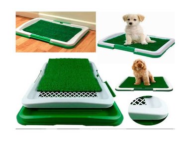 BAÑO PERRO PUPPY POTTY PAD - 2