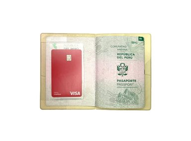 PORTA PASAPORTE COOL BAGS GRIS APPROVED - 2