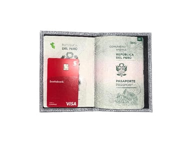 PORTA PASAPORTE COOL BAGS SILVER - 2