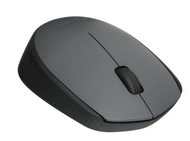 MOUSE INALÁMBRICO LOGITECH M170 NEGRO - 2