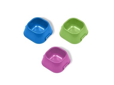 PLATO PERRO Y GATO LIVIANO PEQUEÑO 16 OZ VAN NESS