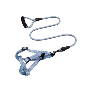 CORREA CON PECHERA PARA MASCOTAS TALLA 2