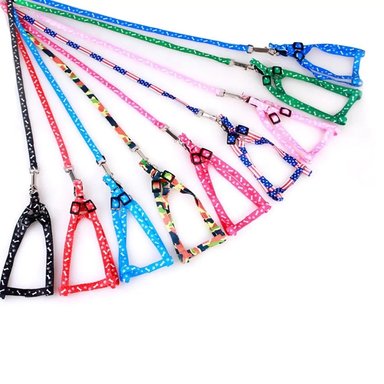 CORREA ARNES PARA CACHORROS TALLA 0 - MACHO