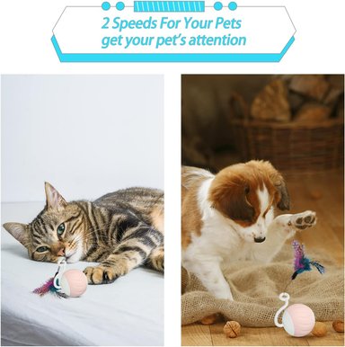 JUGUETE GATO PELOTA CON LUCES LED Y PLUMAS GOGODOGYA CONTROL TACTIL - 2