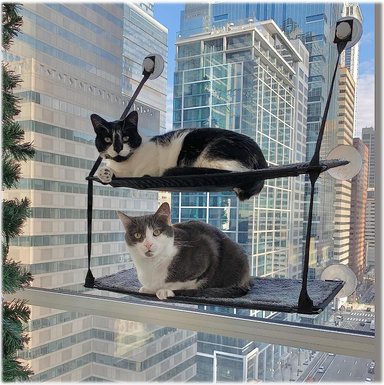 CAMA GATOS KYH PET PRODUCTS EZ MOUNT CON ALFÉIZAR DE VENTANA MUEBLES HAMACA DOBLE PILA GRIS K&H PET PRODUCTS