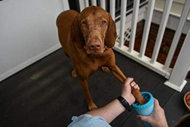 LIMPIADOR PERRO COMPRA FÁCIL DEXAS MUDBUSTER PORTÁTIL PATAS MEDIANO AZUL - 4