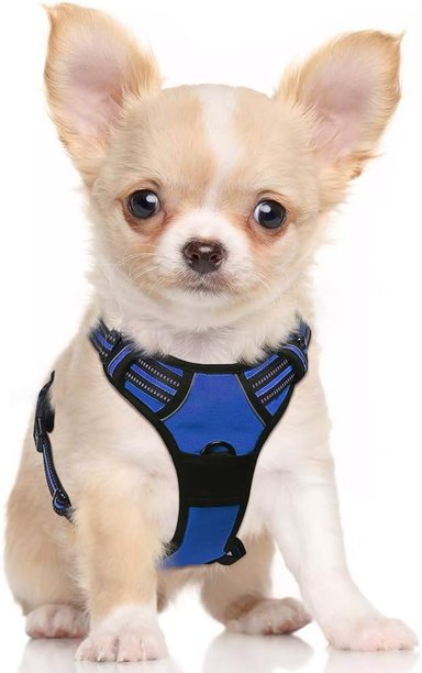 ARNÉS PERROS COMPRA FACIL RABBITGOO SIN TIRONES CON 2 CLIPS DE CORREA ACOLCHADO SUAVE AJUSTABLE CON MANIJA AZUL DESLUMBRANTE S