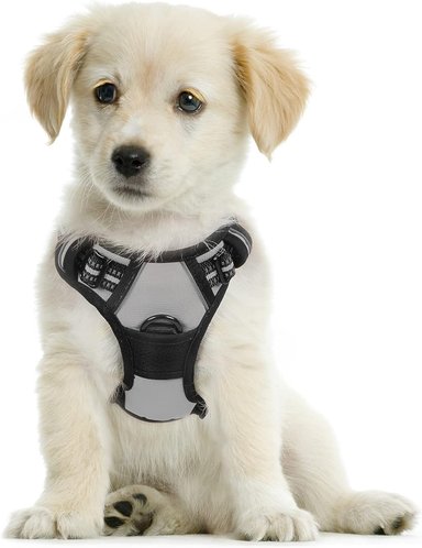 ARNÉS PERROS COMPRA FACIL RABBITGOO SIN TIRONES CON 2 CLIPS DE CORREA ACOLCHADO AJUSTABLE CON MANIJA PARA RAZAS PEQUEÑAS GRIS S